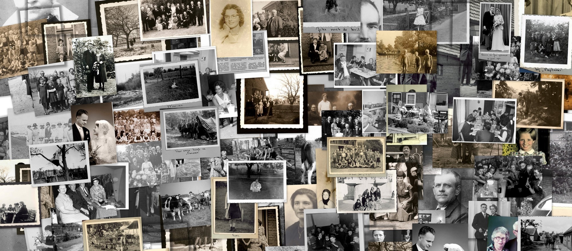 collage2
